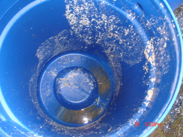 Les fûts rendus vides et nettoyés :-((