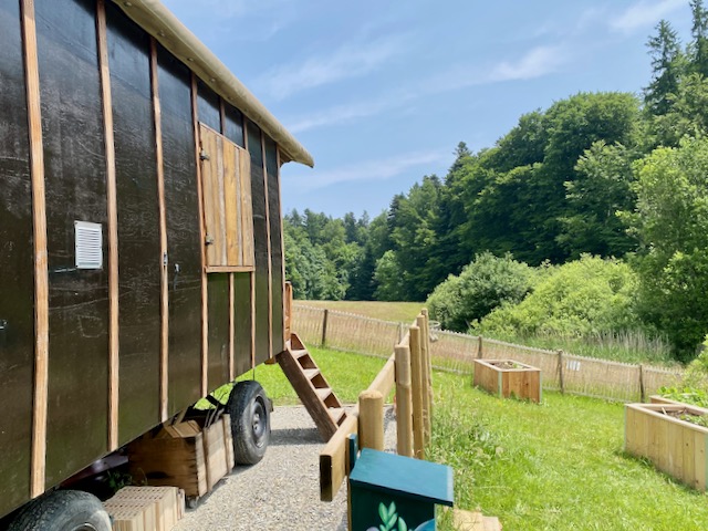 Un espace jardin joliment amménagé pour les enfants