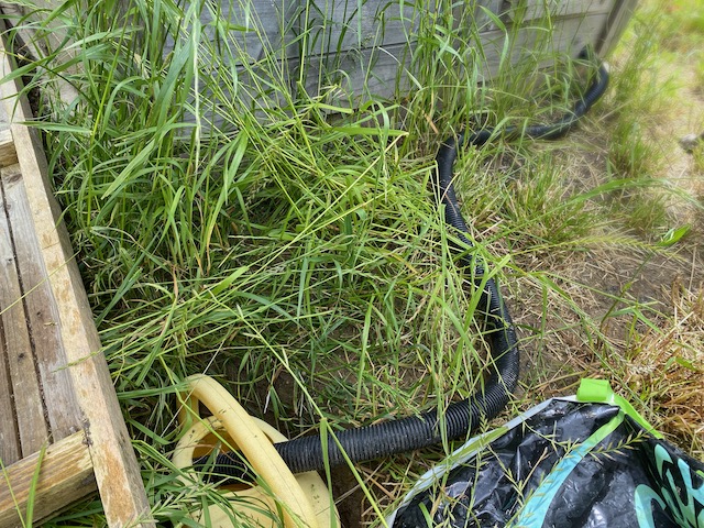 récupération des écoulements pour fertilisation 