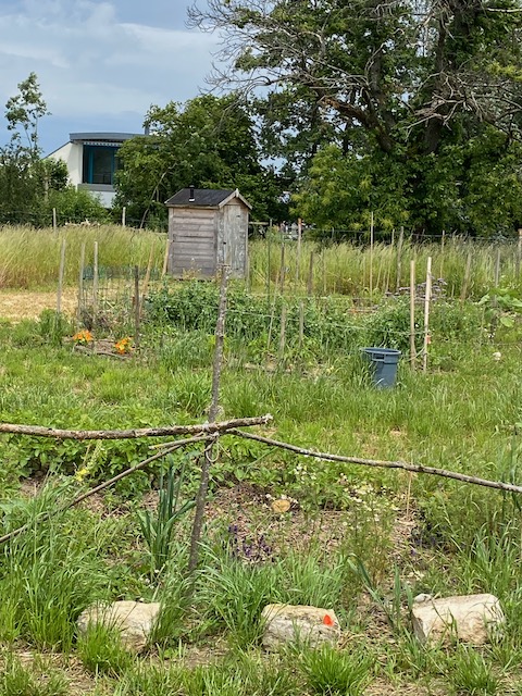 La cabane grand luxe au fond du jardin collectif